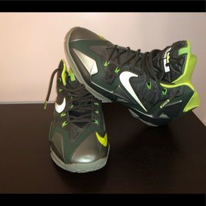 lebron 11 dunkman